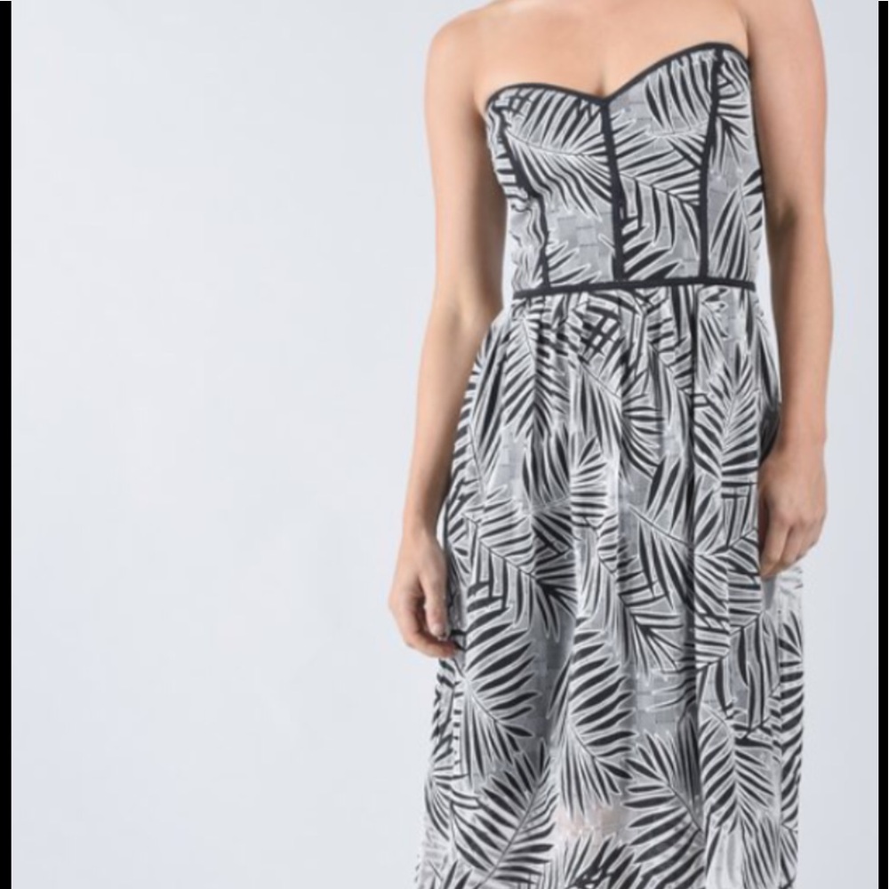 Parker Strapless Dress